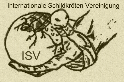 ISV-Internationale Schildkrtenvereinigung