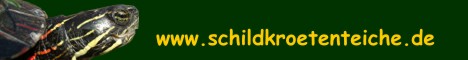 www.schildkroetenteiche.de