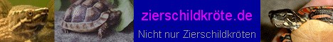 www.zierschildkroete.de